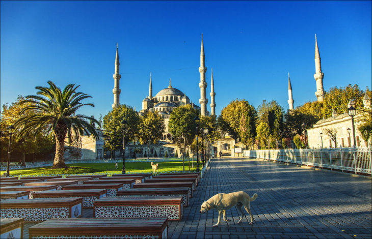 fotoğraf Sultanahmet Camii