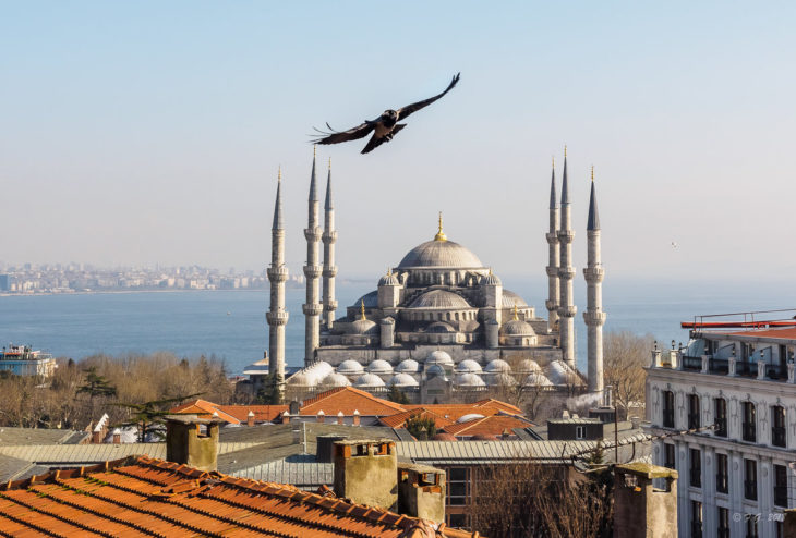 İstanbul'un en güzel camisi - Sultanahmet Camii 📸🕌 35 fotoğraf
